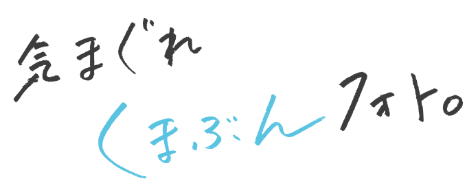 気まぐれくまぶんフォト